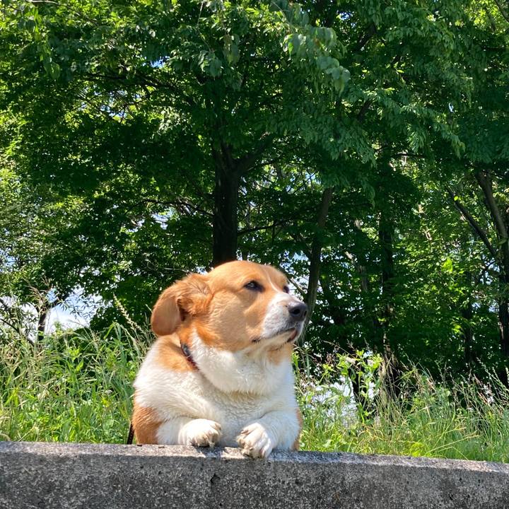 1a9b641b 599c 4929 8236 7859e40482de 1686102425147