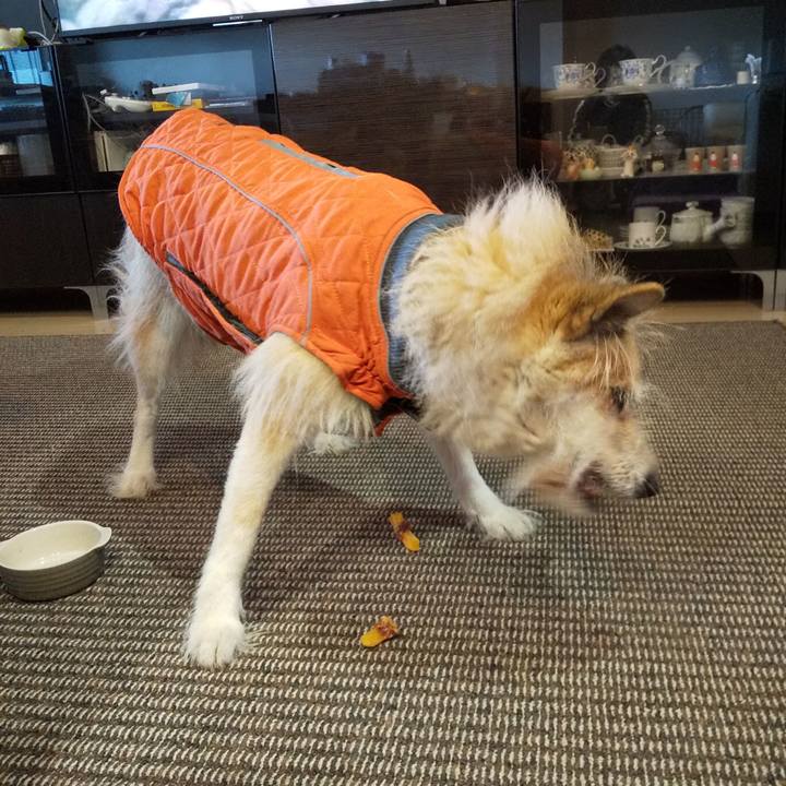 1a9b7671 ba39 4af3 b3a8 db485276061c 1579913219907