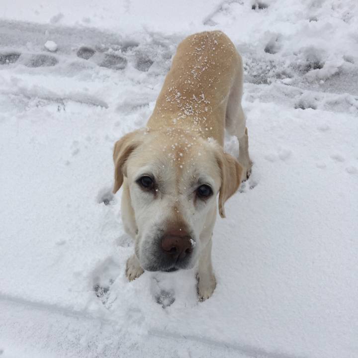 1a9b7977 4e73 4855 9f01 483378c04ccf 1514535702901