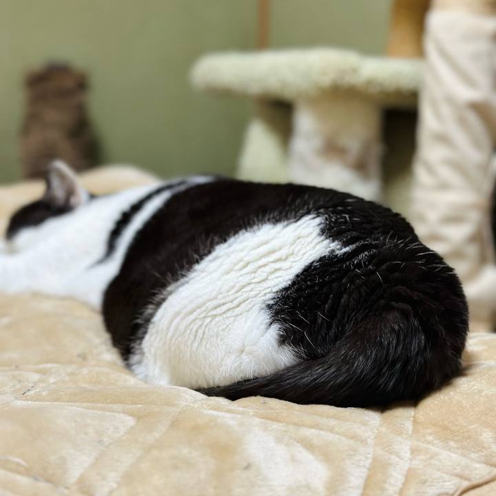 1a9b99f6 3d7b 4046 bb8a 6a80a6101d1b 1673831646719