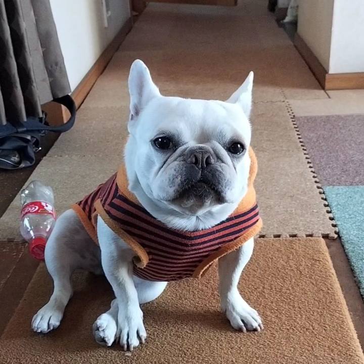 1a9bd870 409b 415f 8fb3 0d23ec0d257f 1675118135232