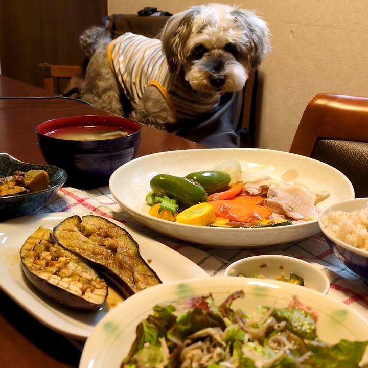 1a9c1404 168b 4ce1 bc6c 4bdfc5916ced 1753880224120