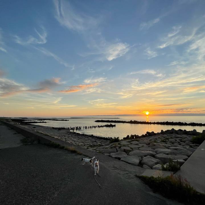 1a9c6f8f 2422 4060 85a4 311a33c9588d 1656585401905