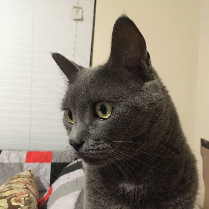 1a9c753d fa0d 438c 94d9 029b6787122d 1632278846032