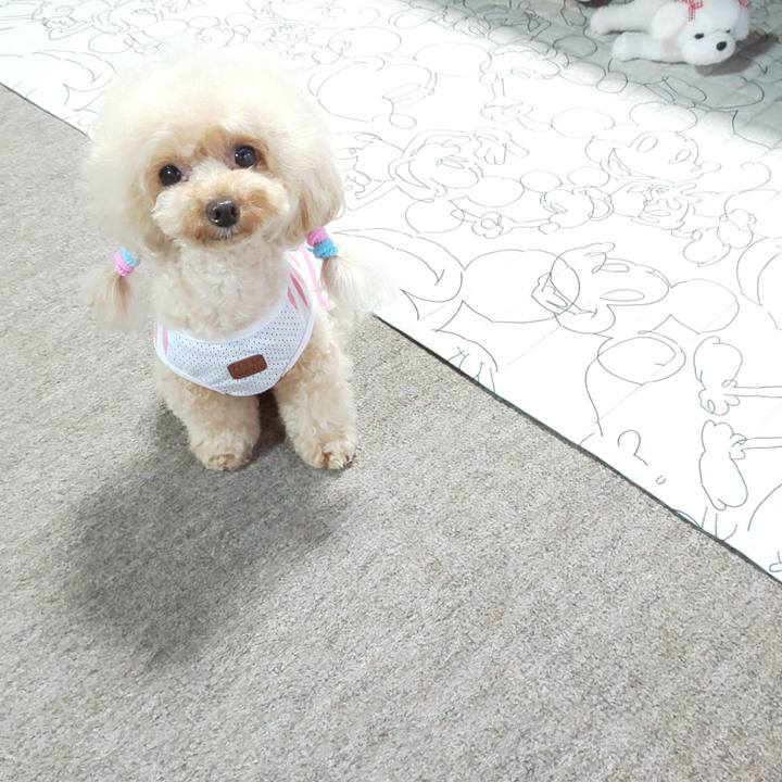 1a9c79dc 4613 407f 9898 0c6f68bdcb85 1568190858981