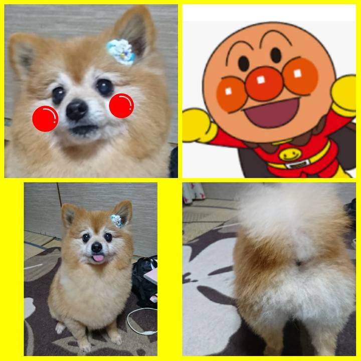 1a9c85bb d977 4ae3 9281 c7cc1777fd4d 1526287632903