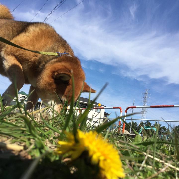 1a9ca4db fa60 4517 80e7 b734b6b985f3 1583203311951