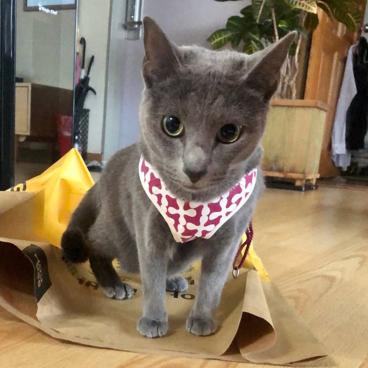 1a9cdc3a 9c55 4ca2 a1d6 8684082a1742 1589534410865