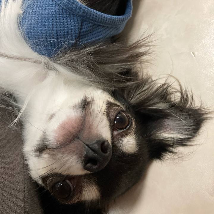 1a9ce115 57cb 4690 a885 6e014c3ff244 1617544639791