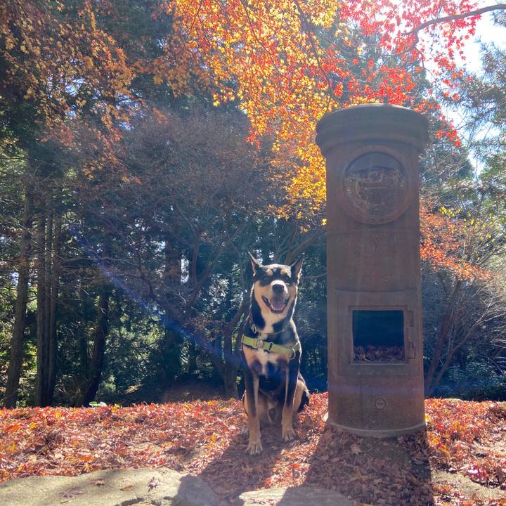 1a9cf2e9 3ae9 4211 834d c3388dafd895 1638188358661