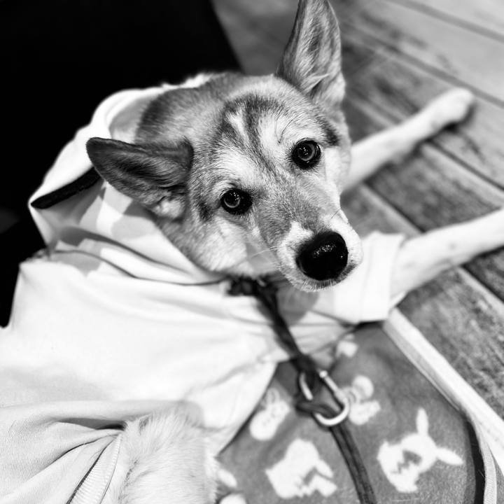 1a9d0518 d9f8 4e41 a525 eafb20917465 1766928248817