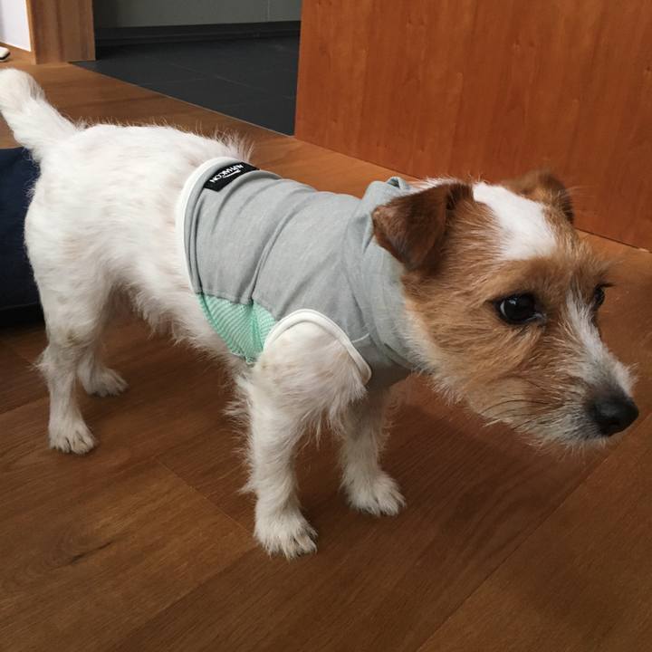 1a9d9e58 3fdd 40d3 ab36 2f3e8811ce4d 1529711751301