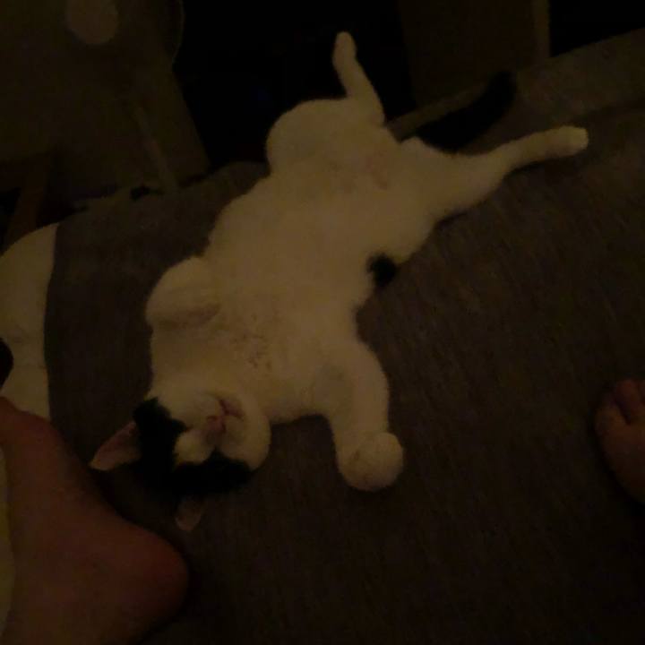 1a9da91b 36c9 4101 9c4c 35bf3a567b18 1532565637503