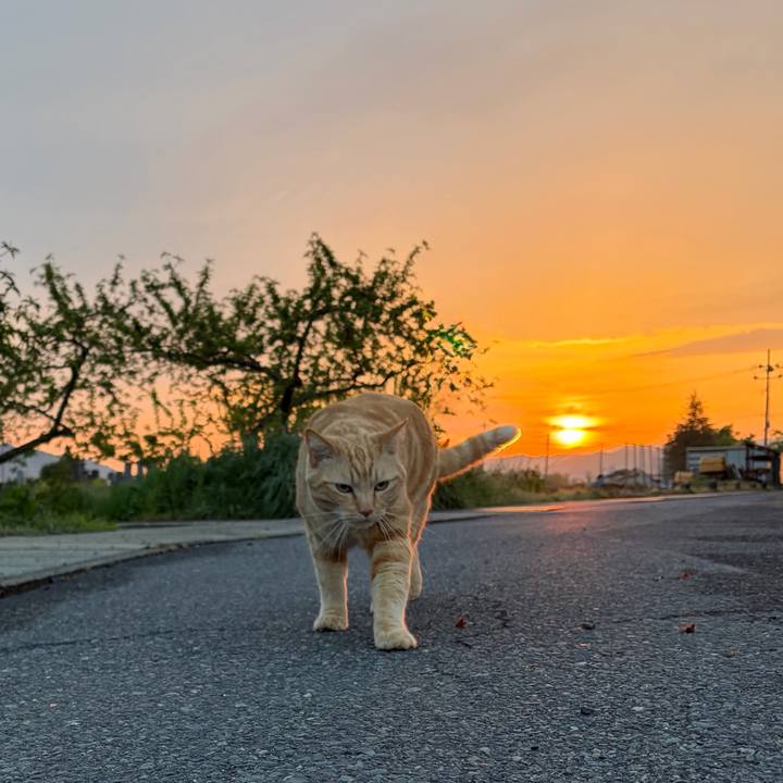 1a9dabf7 bcef 4b63 9c7d 8ff3d55362e1 1777322112663
