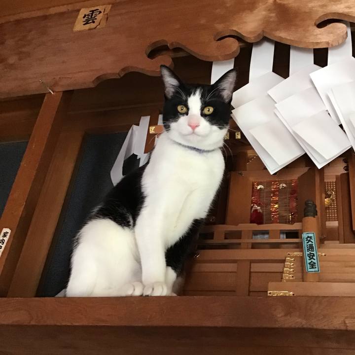 1a9dd106 ab84 4d99 9462 b4d60ede18f0 1637289358966