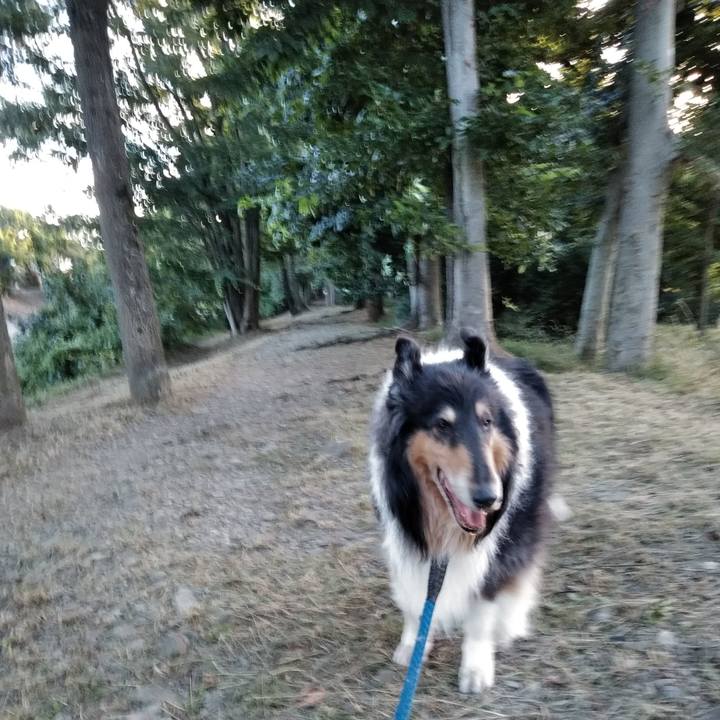 1a9df206 267e 40a8 8d24 454ecc9be336 1530712783482