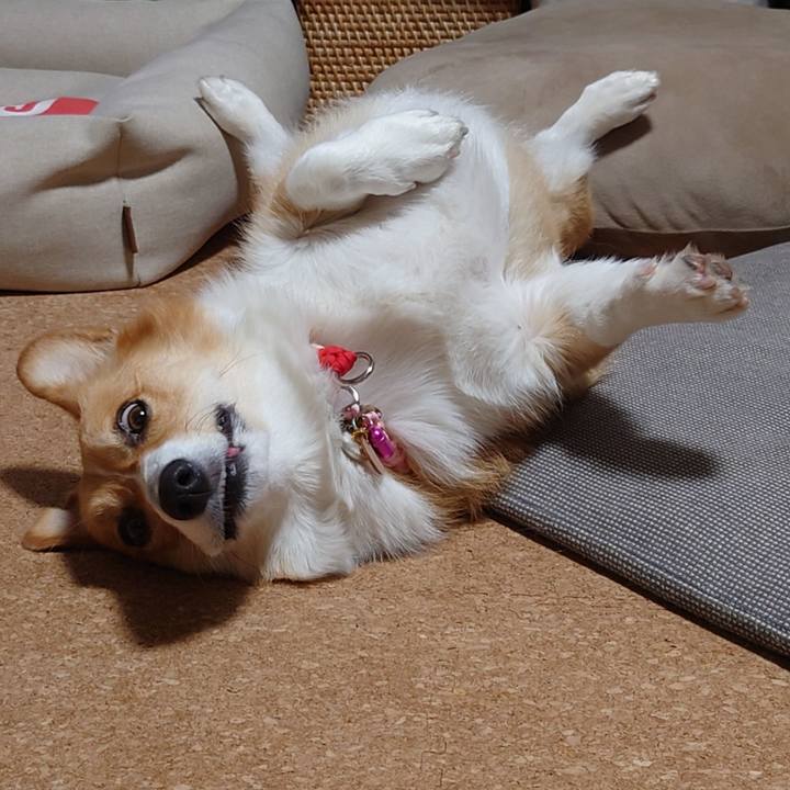 1a9dfde7 59cc 4c25 b60d 3fe3563d2582 1764078315875