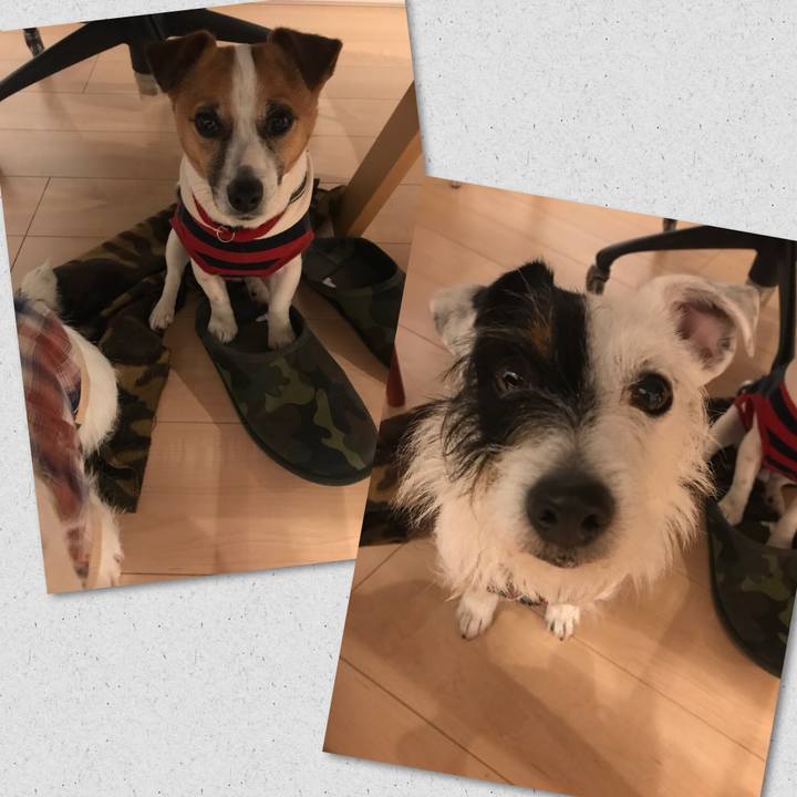 1a9e059c 57a3 4840 a0d0 d2798275cf9e 1521461734000