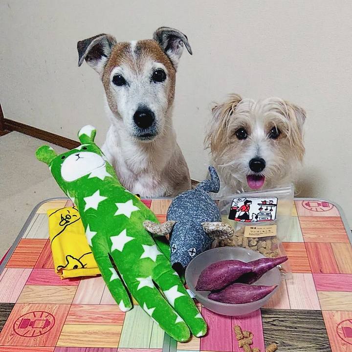 1a9e248b 7cd6 4473 a439 571fac5626d9 1582978003701