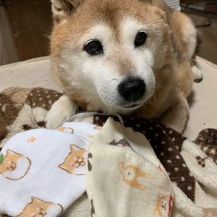 1a9e3a64 92e7 4c63 a9d3 9a451990d40c 1582114554079