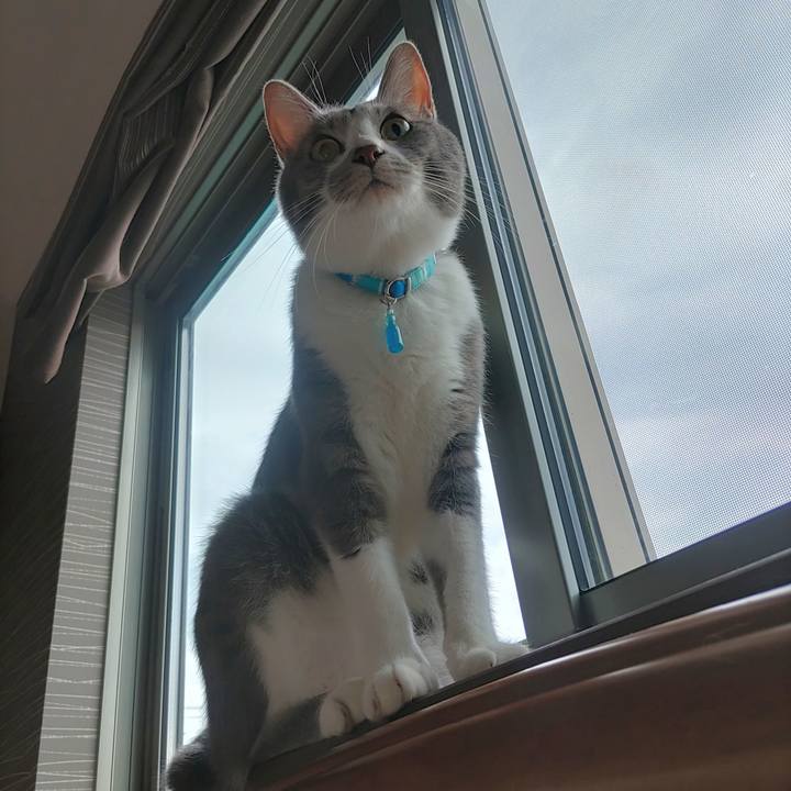 1a9e8545 5280 4a67 a511 a50b2daf4e7d 1660697218241