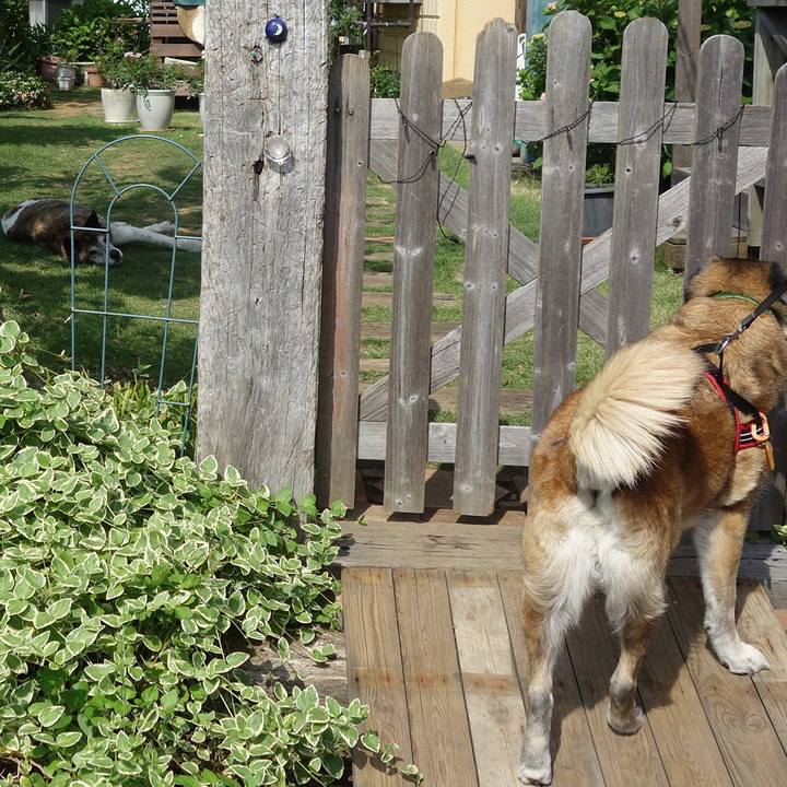 1a9e9026 6e40 4860 aa83 55c26f4787e1 1639787339855