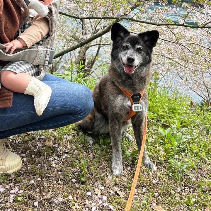 1a9eb4c9 017f 4622 8c49 6c82e58816cd 1713603820208