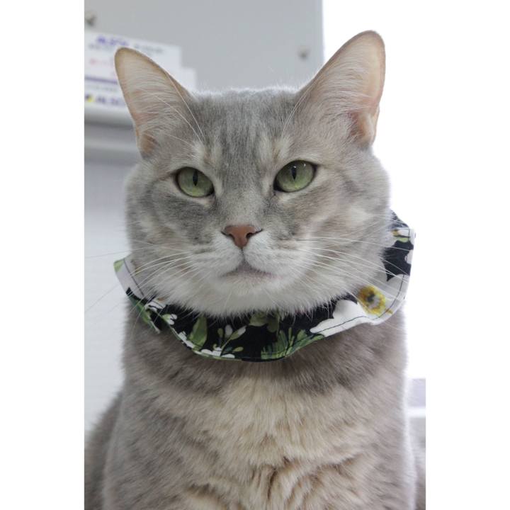 1a9ec206 e506 43ed b2c1 7e072df55948 1649222412259