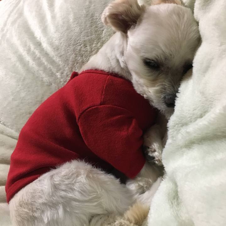 1a9f084b c639 49b0 87f9 cb2fc95b8de4 1515498493804