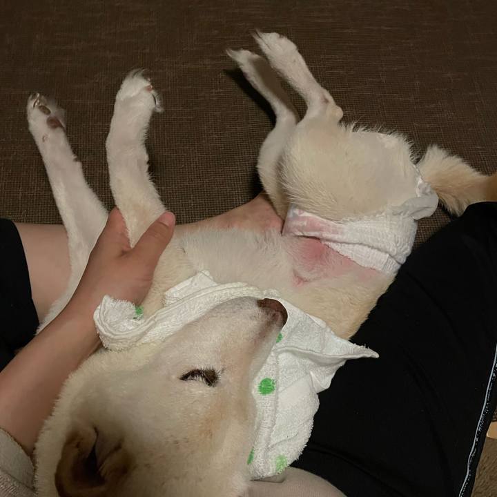 1a9f0ee7 827c 4ed4 ac8f 2a31f1d2ace4 1668436200005