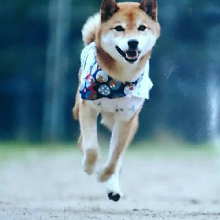 1a9f1ee2 6bcd 4a32 9034 9aefe95c15d5 1562503600794