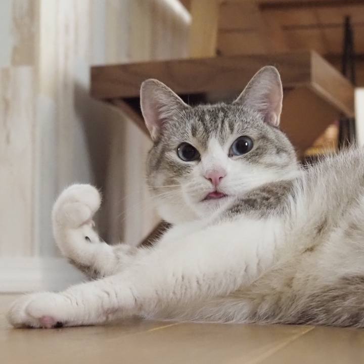 1a9f589a 93a7 4389 a9fb 2d8c7af92796 1624365720748