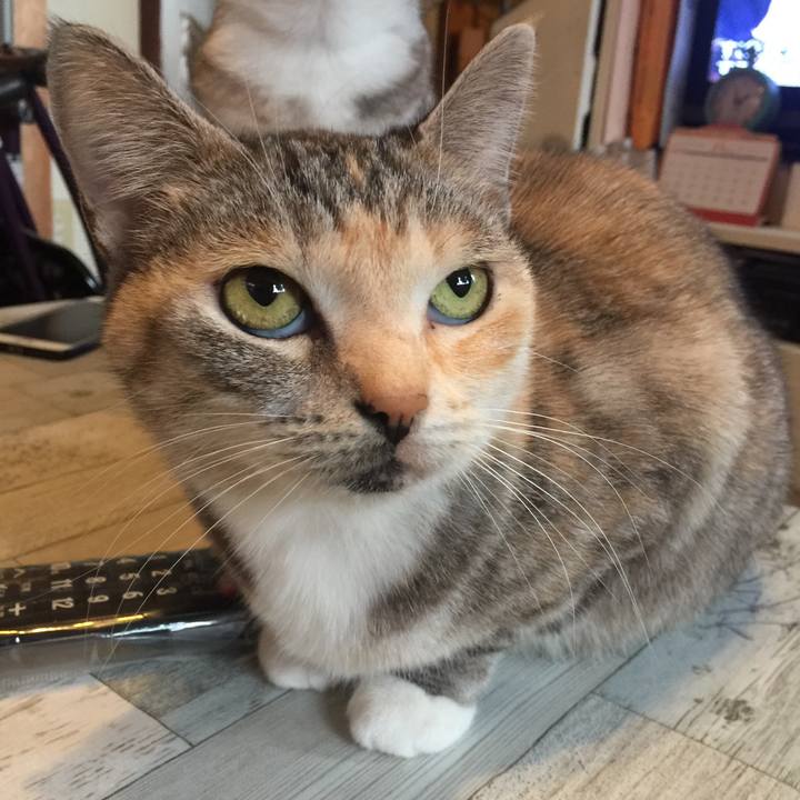 1a9f8a34 f35f 4825 b8b4 ecc8224d0032 1575894946412