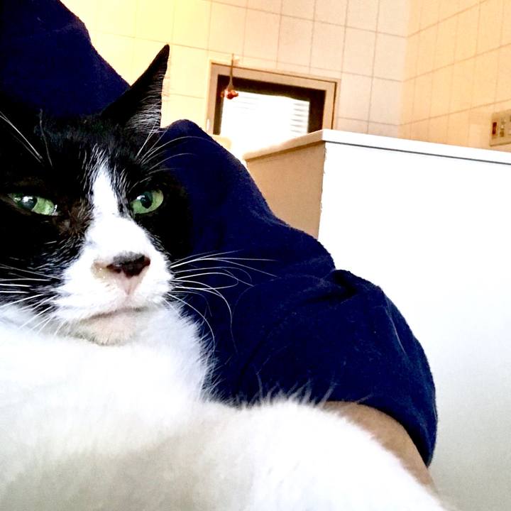 1a9f8f20 0961 45b3 8def a9e90b62732b 1514634821640