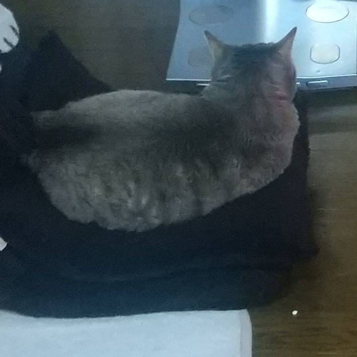 1a9f9964 f317 4890 89aa 050327a5e17e 1643707278900