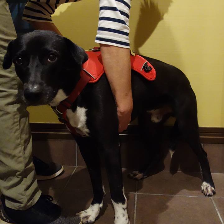 1a9fa38d 2857 4634 9f07 53dd3280f654 1601980566371