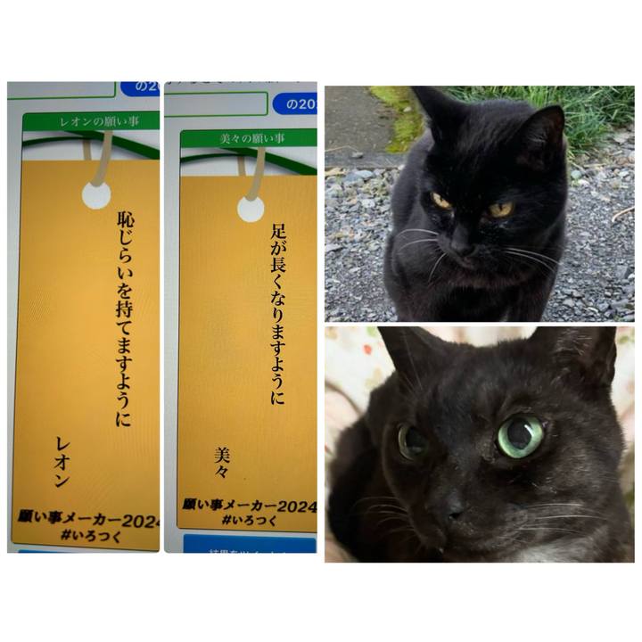 1a9fabbf 5ad4 41c2 be6a de45a0073875 1720313731020