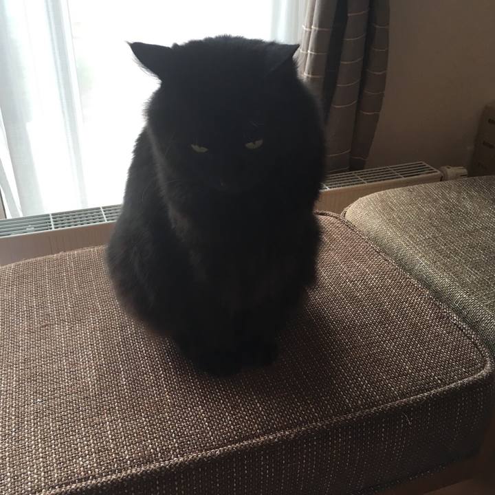 1a9fb003 988e 4506 8e12 a411def0f686 1526258123981