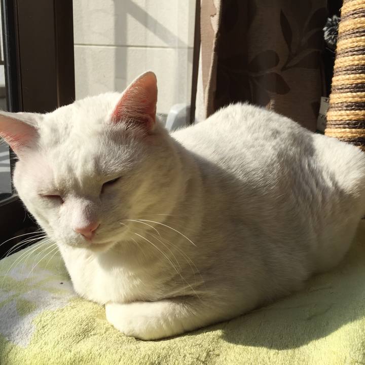 1a9fb466 eb33 41cb 9856 3be88cc6ca0f 1522106761015