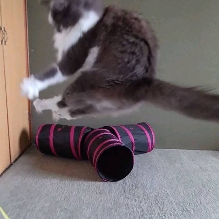 1a9fbfd4 e855 4e08 9dac 9dd82f2aca7d 1627979354122