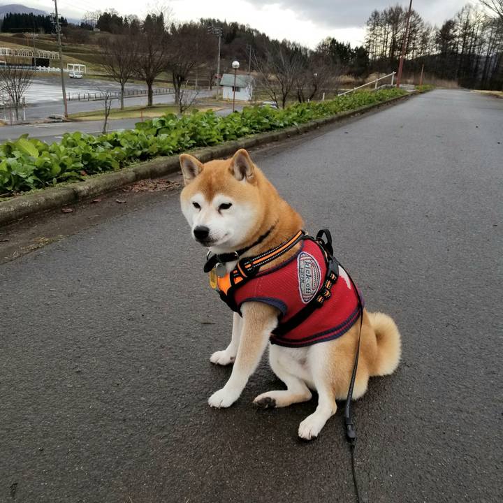 1a9fc349 cc32 48df 91dd ef7a891b9def 1607409949027