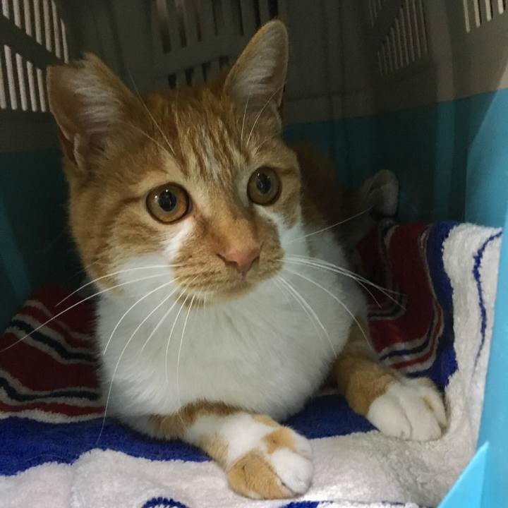 1a9fe019 1142 4145 90f6 74cf59f57720 1523954381406