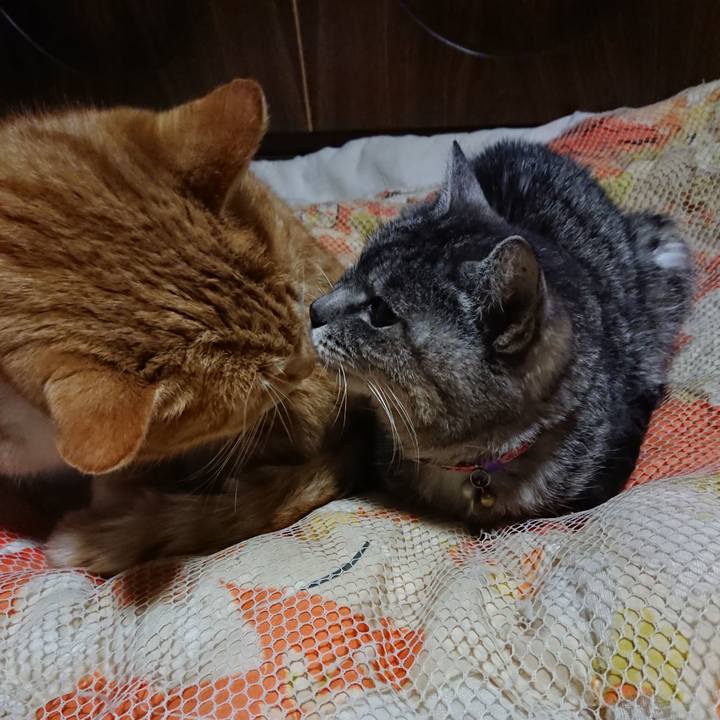 1aa01abc 697f 4271 a907 6b9a8b0c5cd4 1581162766729