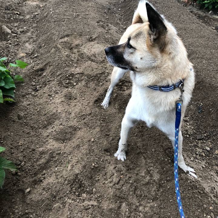 1aa0440a b699 4bf3 b7a5 69533080cc8a 1602157686475