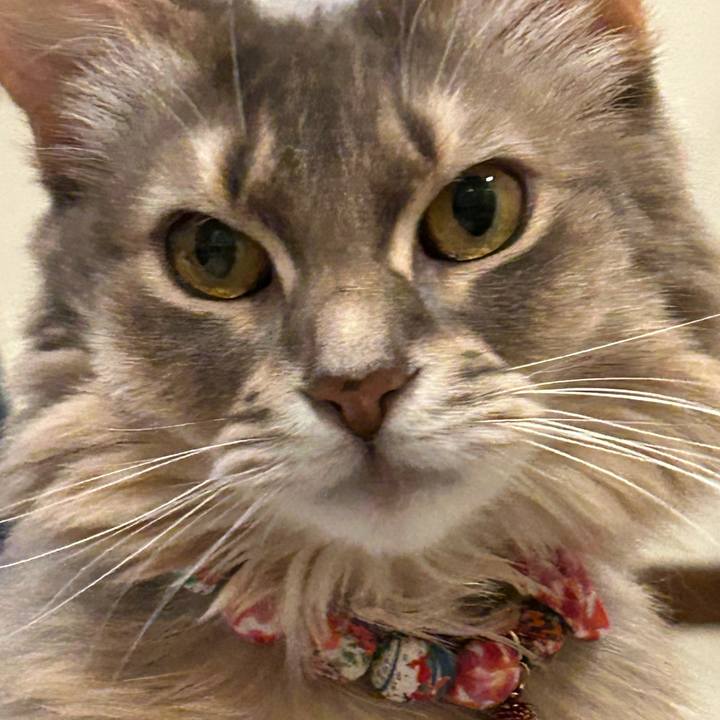 1aa07591 ee63 4525 beff 59eed4e7c03b 1762613319138