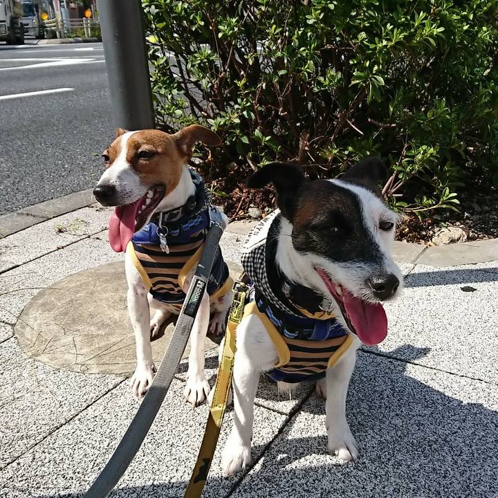 1aa09fb9 0e19 42df bf9a 483af198e7ab 1538796628008