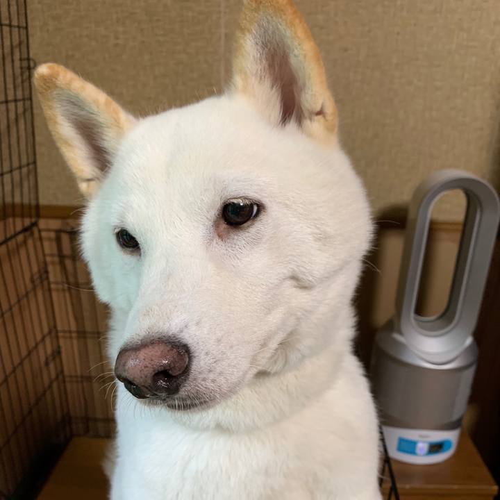 1aa0ad9b 2f89 45a8 b054 05f272c60c5e 1571865149619