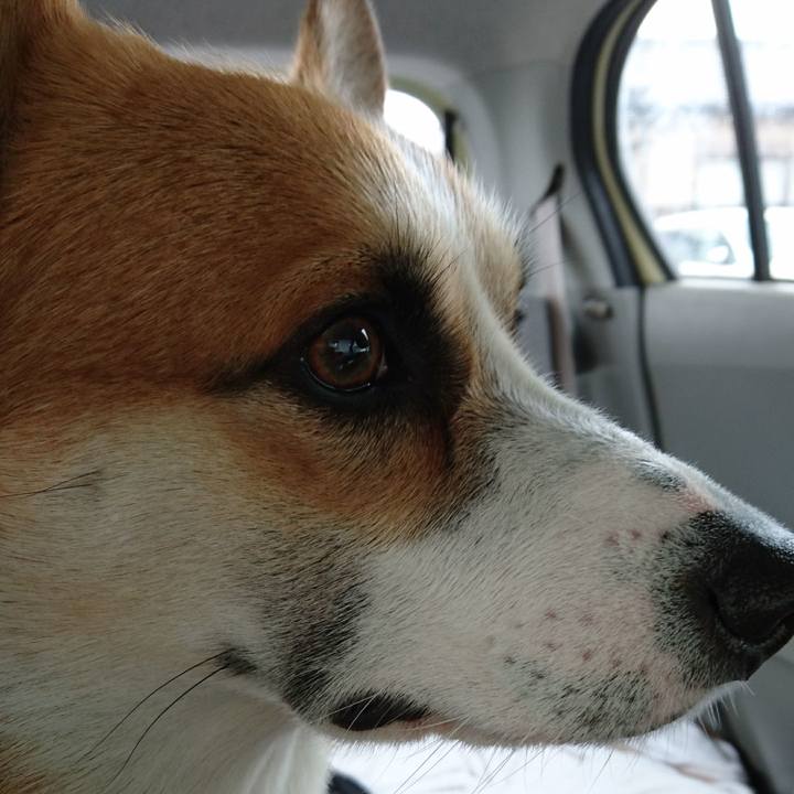 1aa0b236 de0f 4a86 a4d2 9efca243c4d3 1592020665107