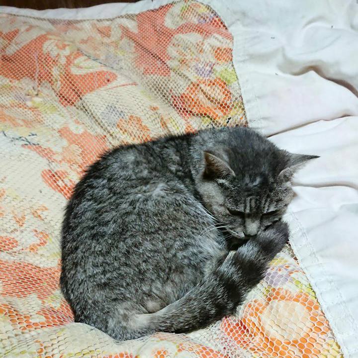 1aa0de27 0104 46d4 94da ce7cfb813314 1574683583501