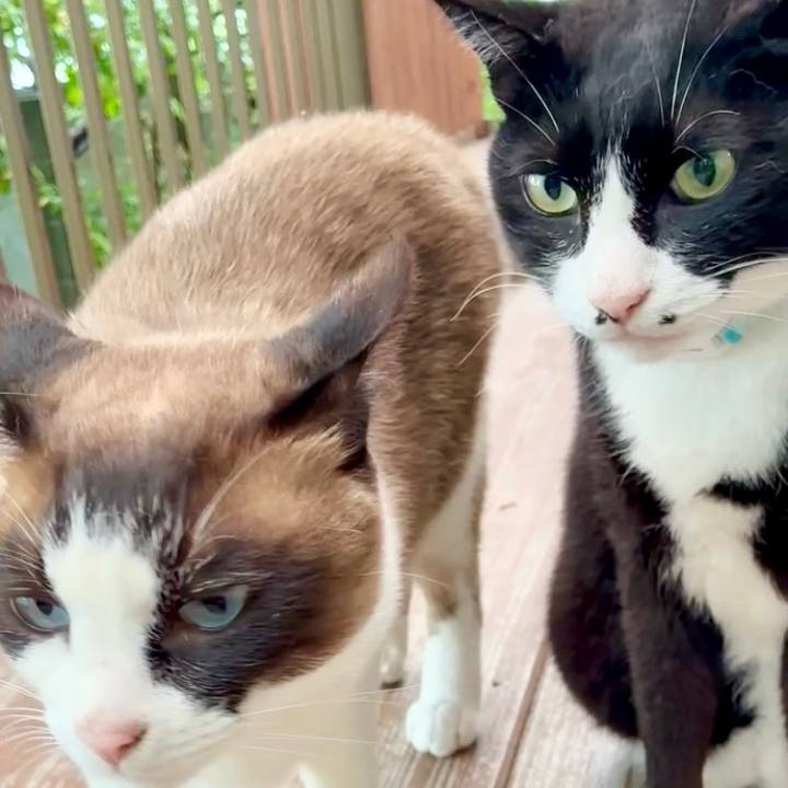 1aa0e544 1392 45b6 8c2b 9a0098392881 1748056021772